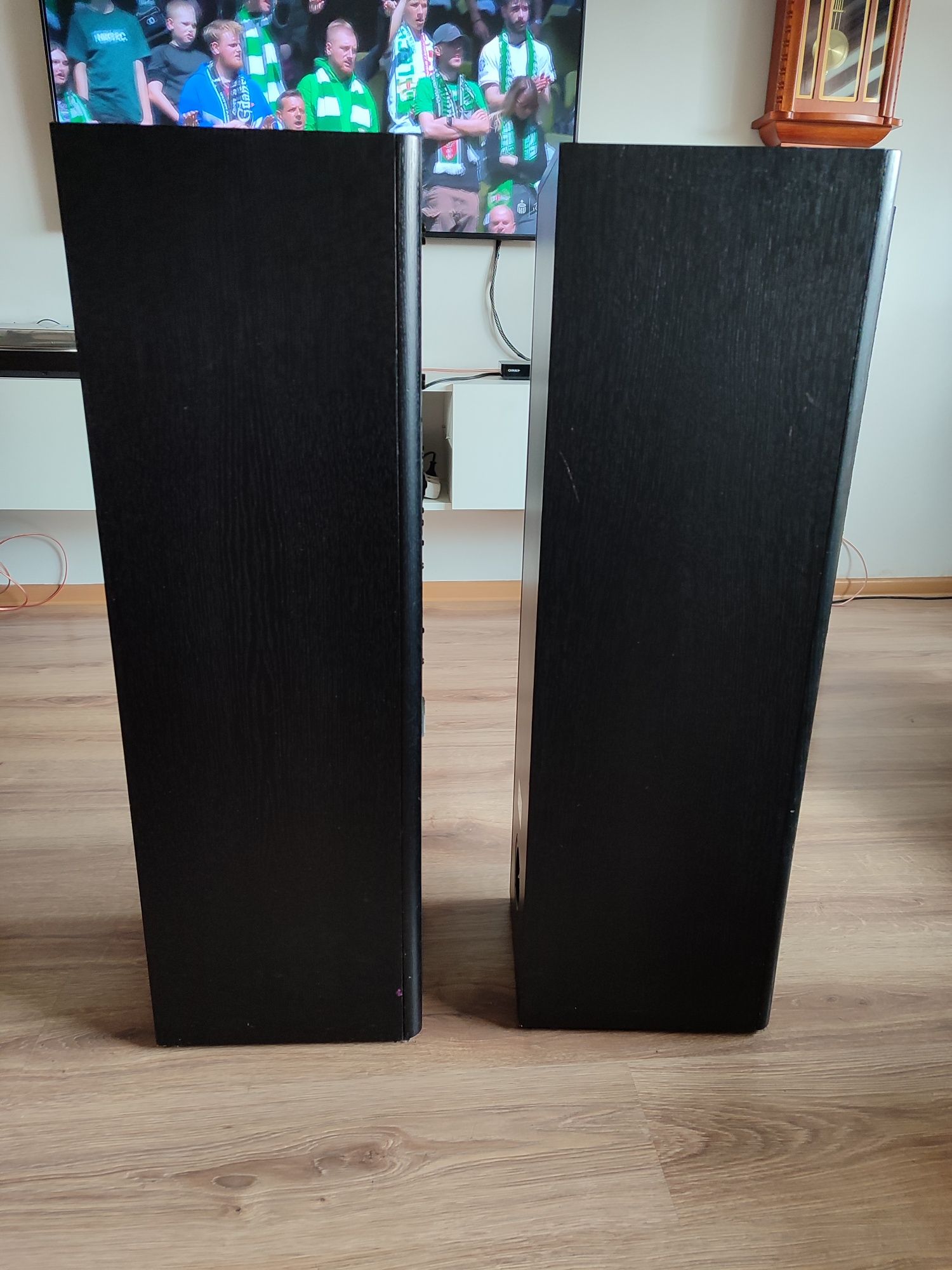 Kolumny podłogowe ASW Cantius ML 4 linia transmisyjna