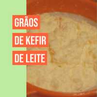 Grãos KEFIR de leite BIOLÓGICO Probiótico