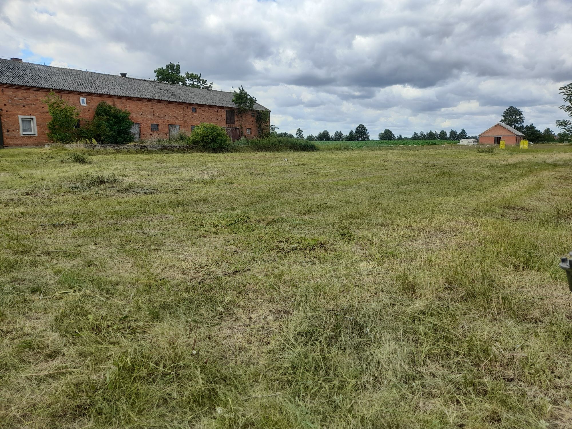 Usługi Karczownicą, kosą spalinową, koszenie, wykaszanie.