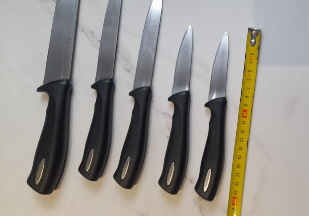 Zestaw noży kuchennych Zwieger w bloku