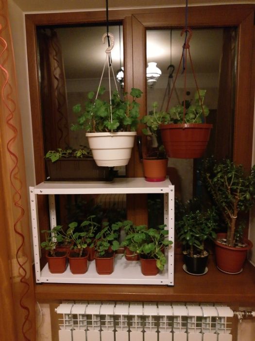 Стелаж розборний металевий під квіти для дома, на балкон в теплицю