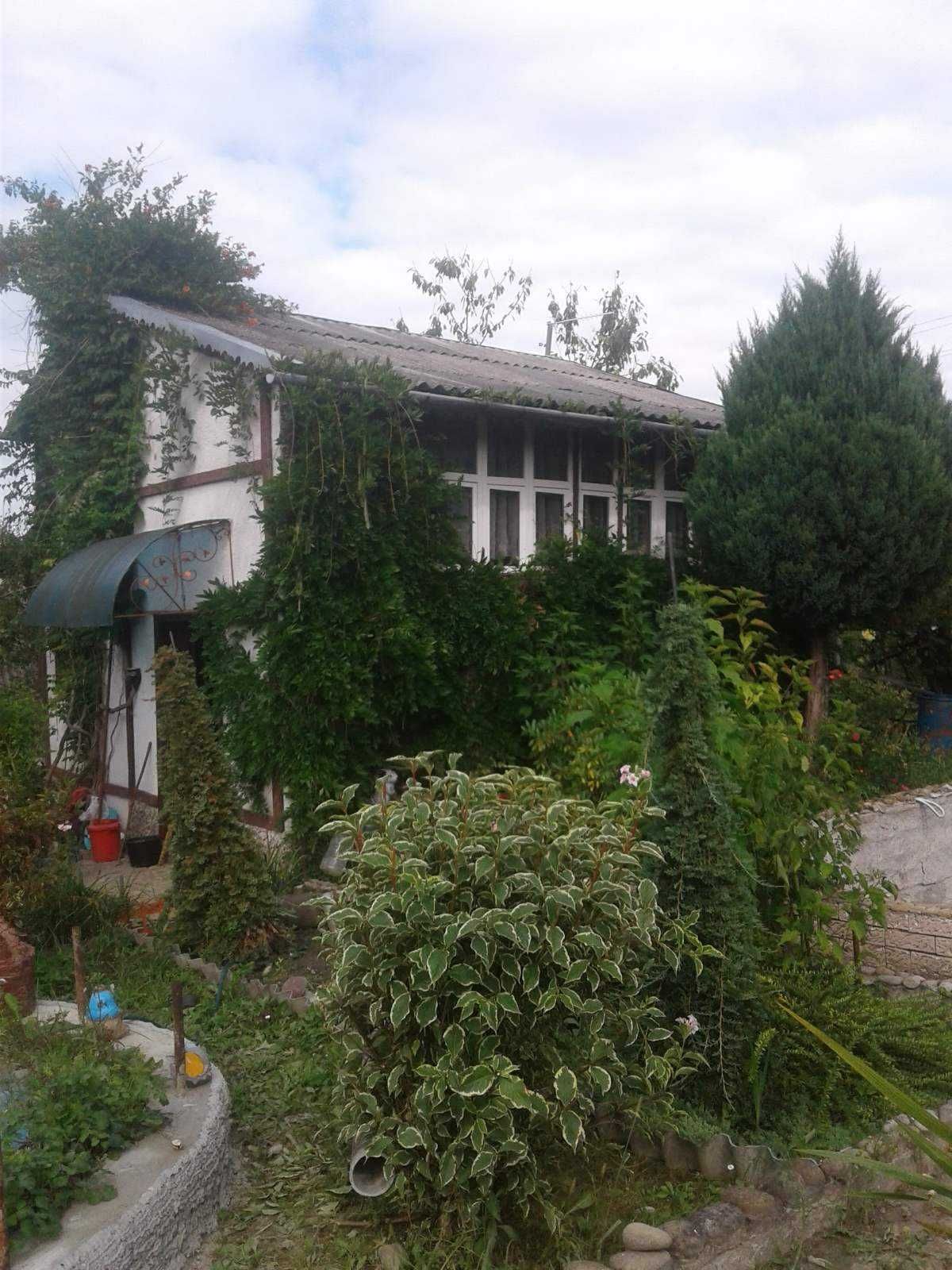 Продам дачу с. Рокитне Яворівський р-он