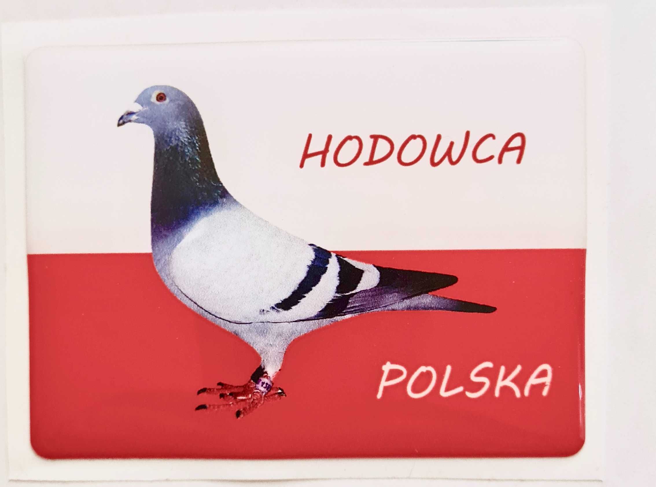 Naklejka dla hodowców gołębi