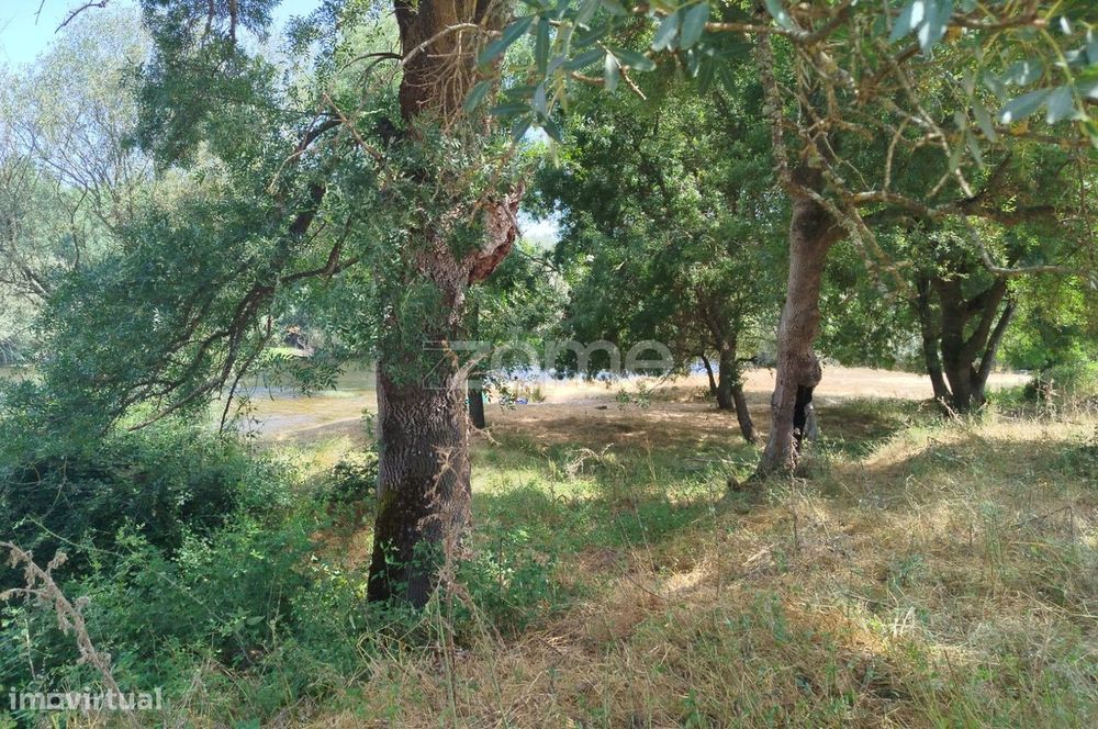Terreno Com Frente De Rio - Mondego