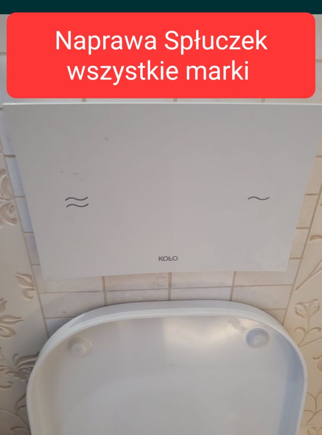 Hydraulik Naprawa spłuczki podtynkowa Przegląd kamerą inspekcyjna