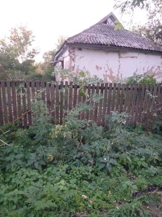 Продам хату в чудовому місці, в центрі села Черняхівка