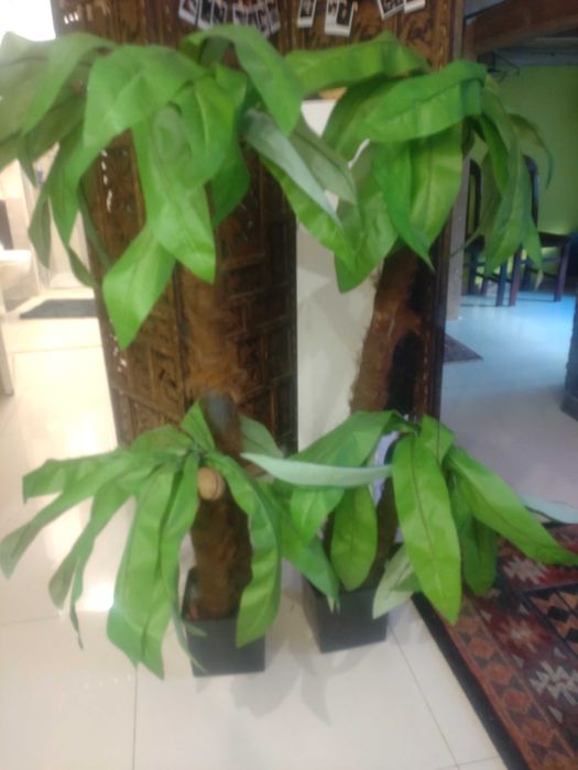 Dwie Sztuczne Palmy 125cm - Dekoracja wnętrz, imprez, lokalu