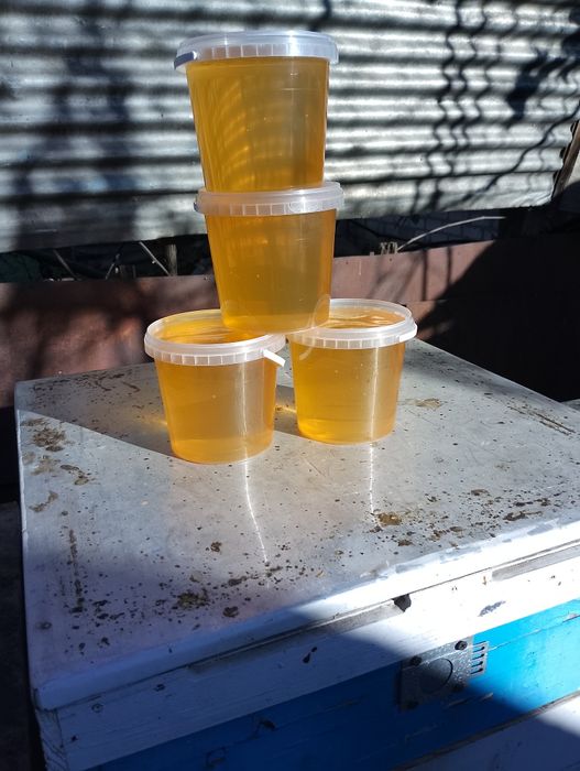 Мед акація натуральний 2025 року з власної пасіки