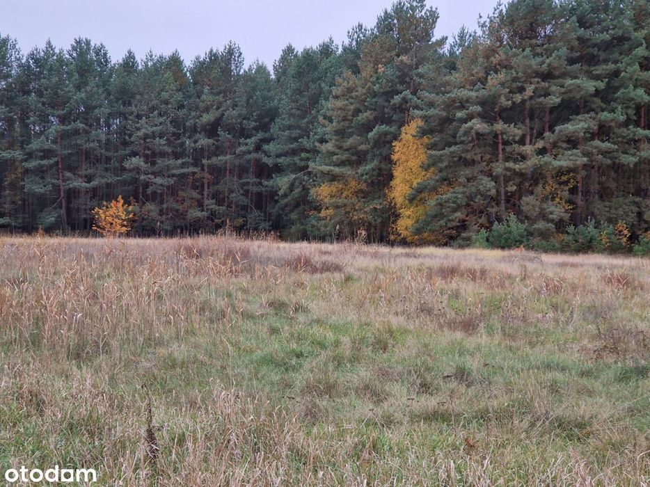 Malownicza działka 1200 m2 w Cegielniku!