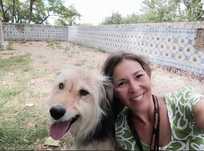 Dog Walker - concelho Oeiras