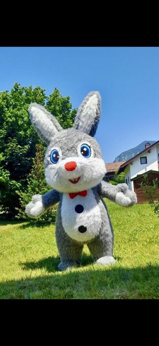 Заец мишка аниматор белый мишка  на день рождения