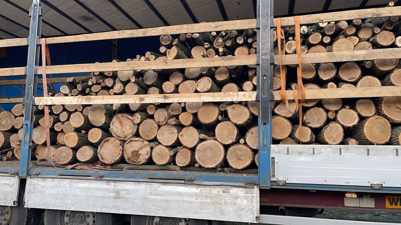 Дрова оптом фурами — конкретика и надёжность, доставка по Одессе