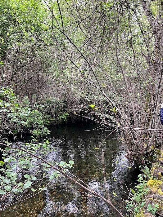 Terreno Rustico a beira da Ribeira na Serra da Estrela