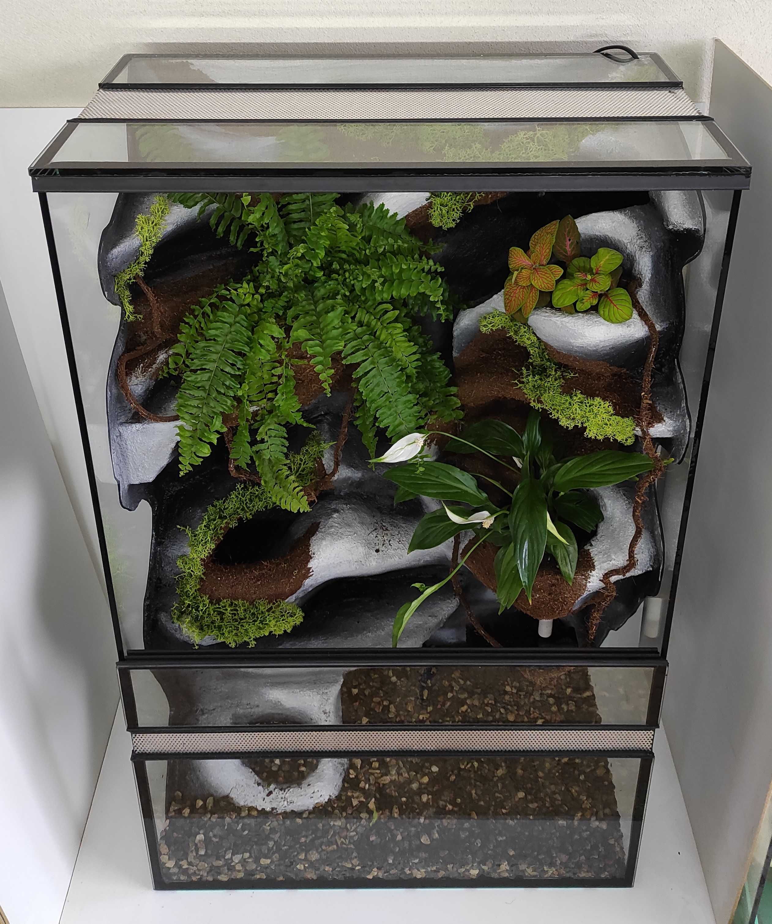 Paludarium dla gekona orzęsionego z wodospadem, TW07KTW, AquaWaves