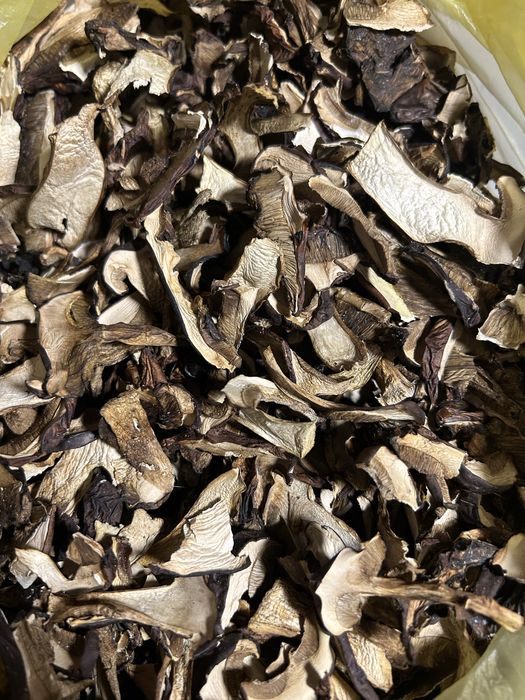 Grzyby wlasnorecznie zbierane, selekcjonowane, wszystkie zdowe