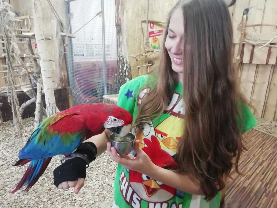 Opieka nad zwierzętami :) Petsitter Zapraszam