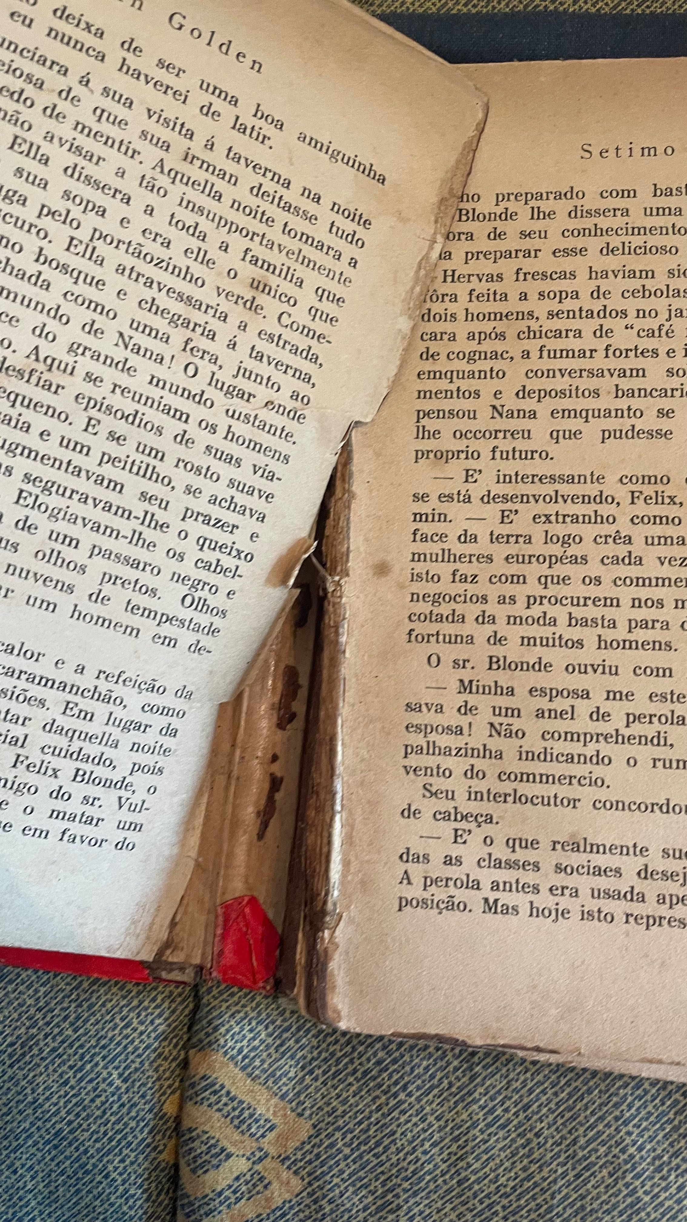 Livro Sétimo Céu