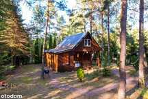 Urokliwa działka ROD "SOSENKA"  – idealne miejsce na rodzinne wypady!