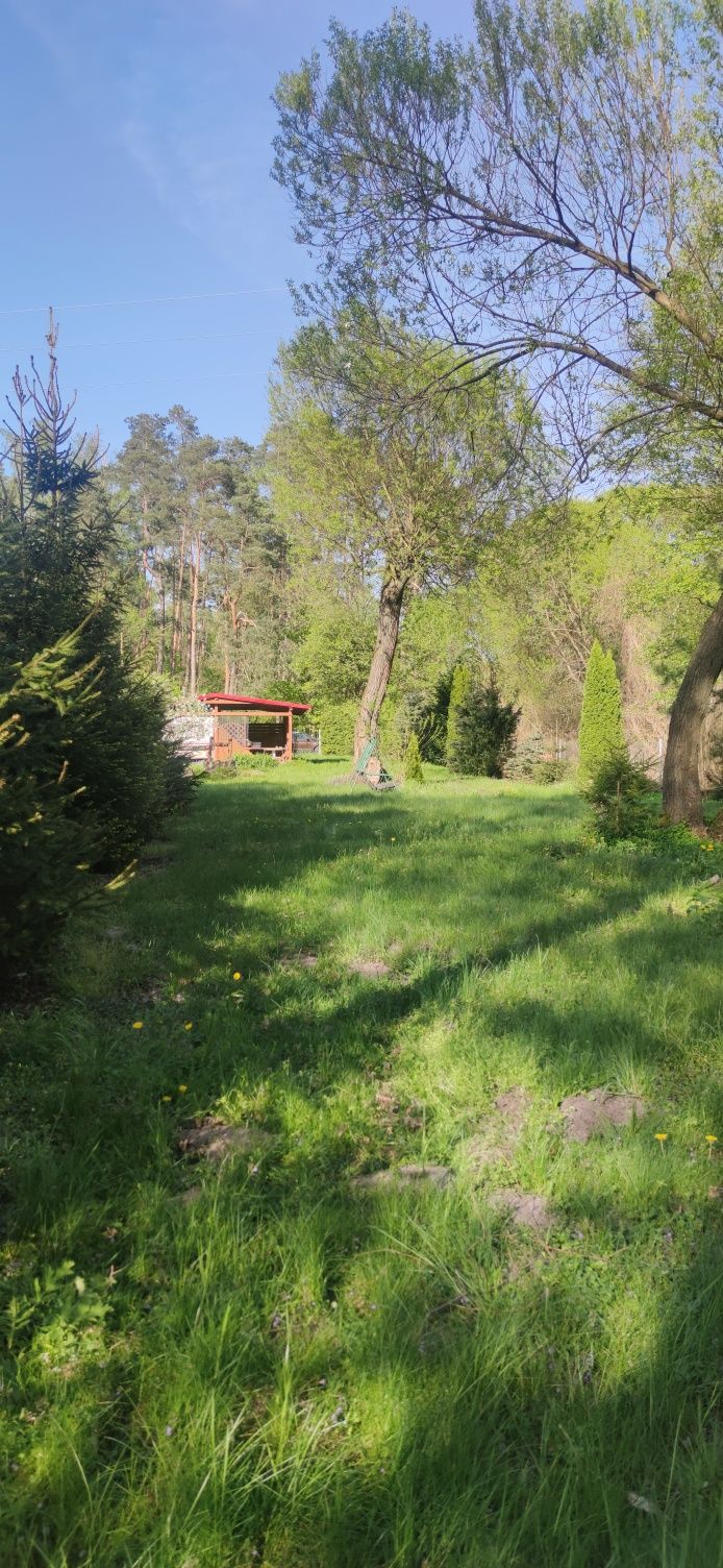Działka nad jeziorem