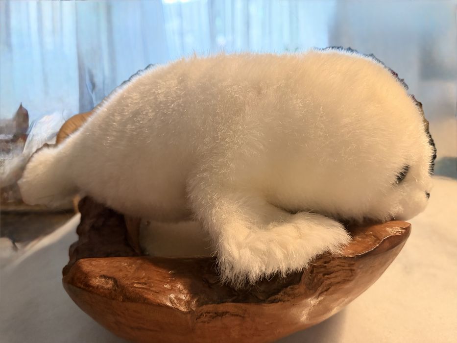 Foca branca (peluche)- encontra se em excelente estado