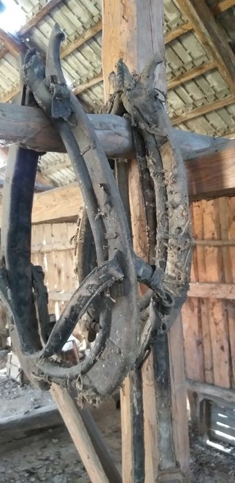 Homonto dla konia drewniane