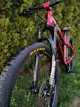 Dartmoor Hornet 2020