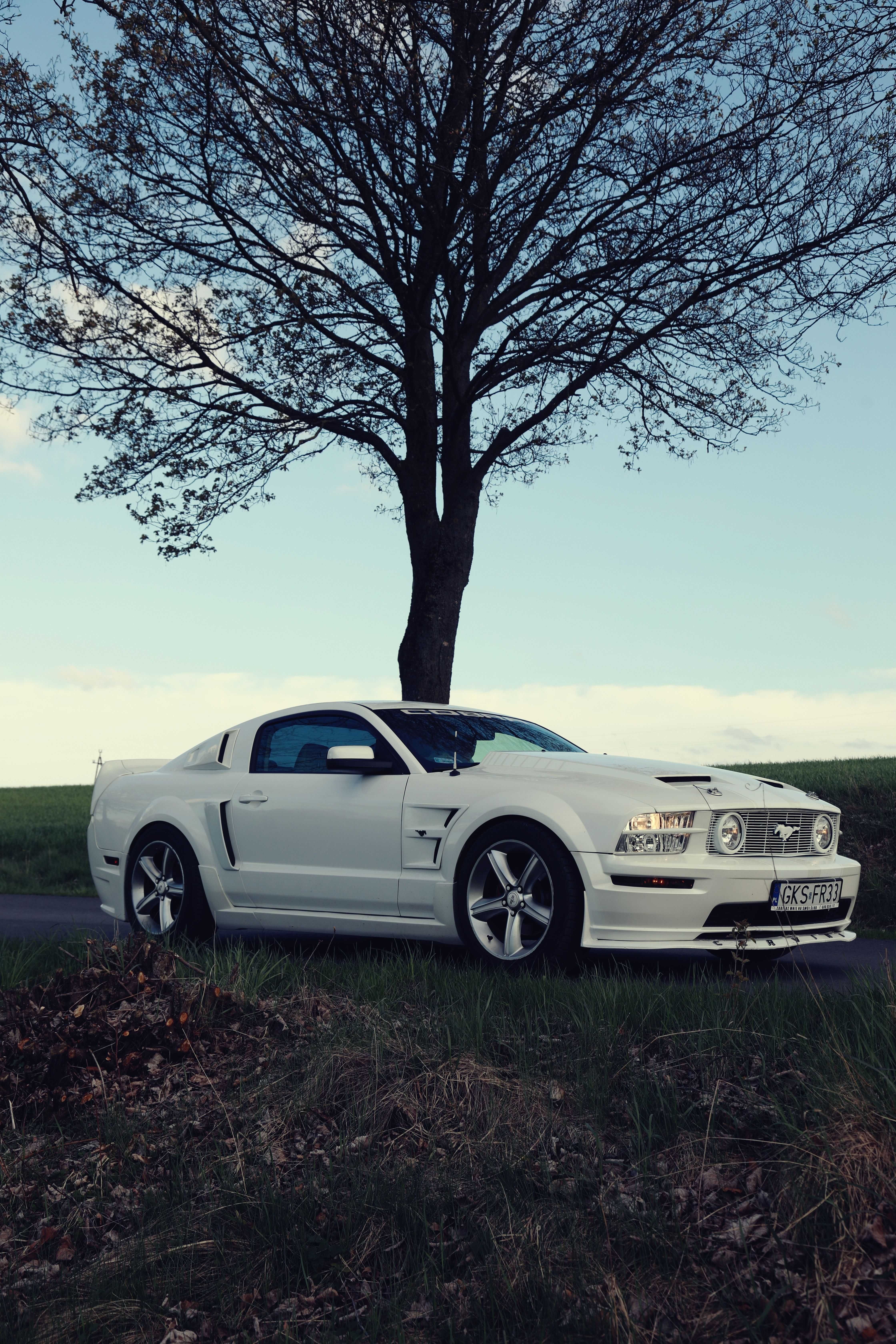 Koła ford mustang 19 cali