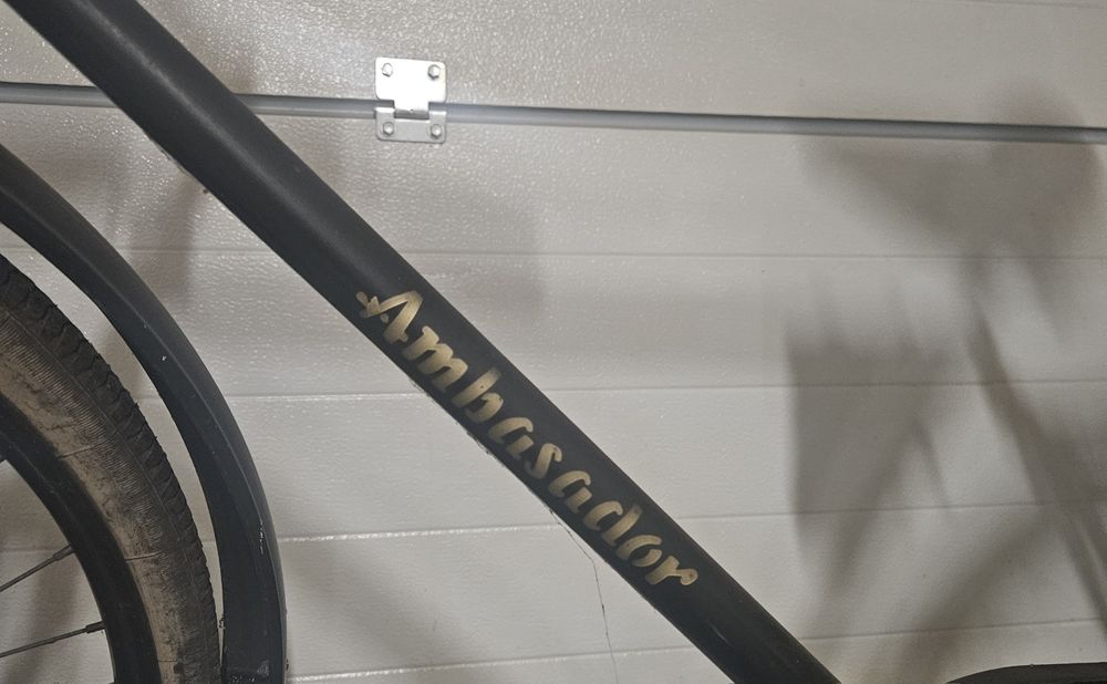 Rower ZZR Ambasador