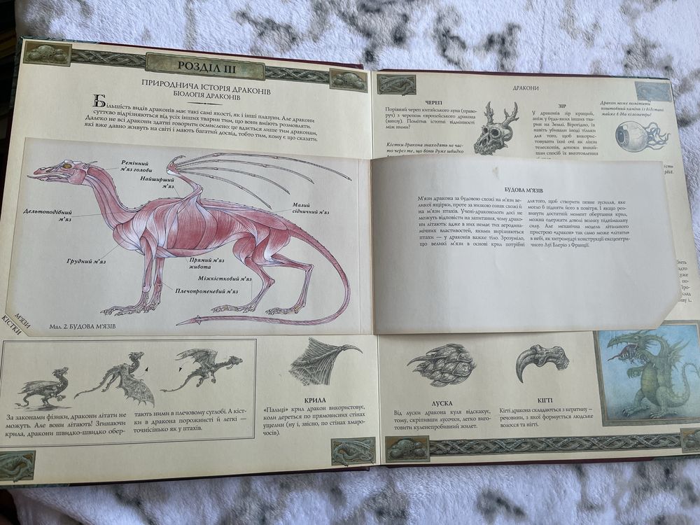 3D книжка Дракони. Махаон,  українською