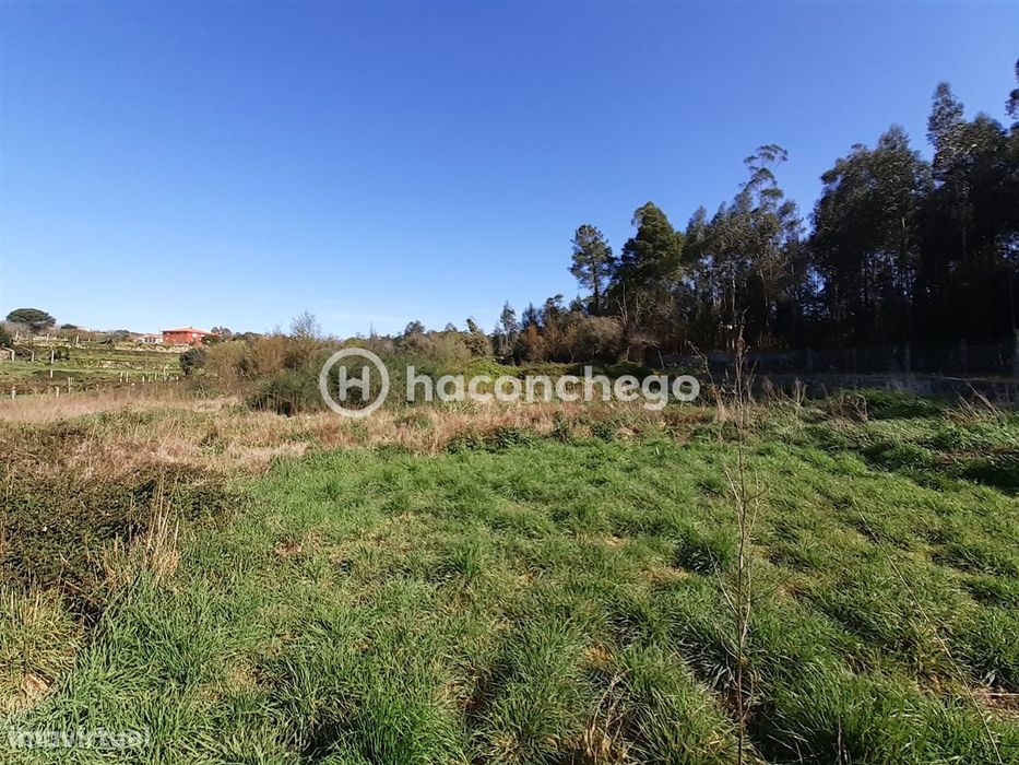 Terreno agricola Alvito São Pedro Barcelos