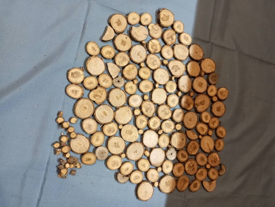 Срізи деревини з різних порід.