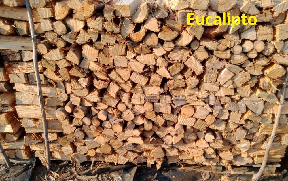 Lenha seca e rachada no Verão