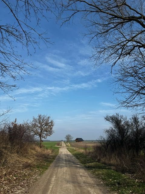 Gralewo działka budowlana 2500m2 wszystkie media