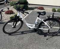 Rower, ebike, Panasonic