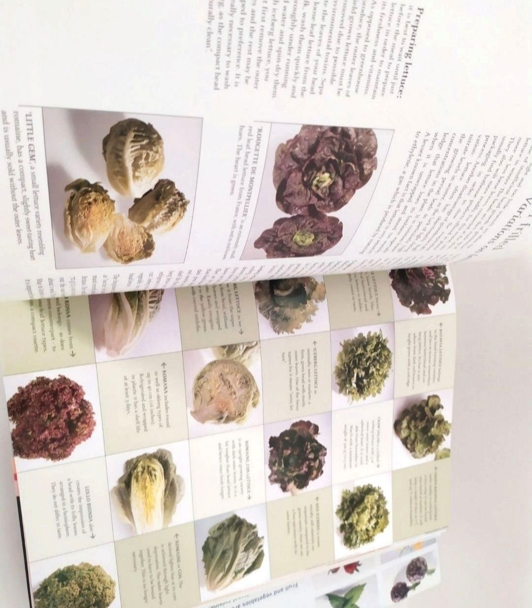 На АНГЛИЙСКОМ Тойбнер Фрукты и Овощи Fruit and vegetables Специи