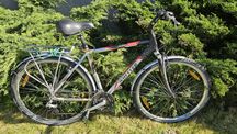 Rower treningowy wheeler model 1600 cross