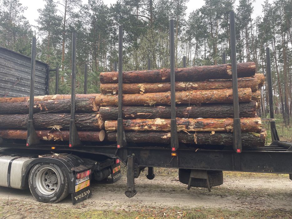 Продам Кругляк ,сосна 3-6м