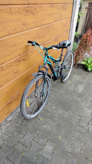 Rower Rayon Adventure