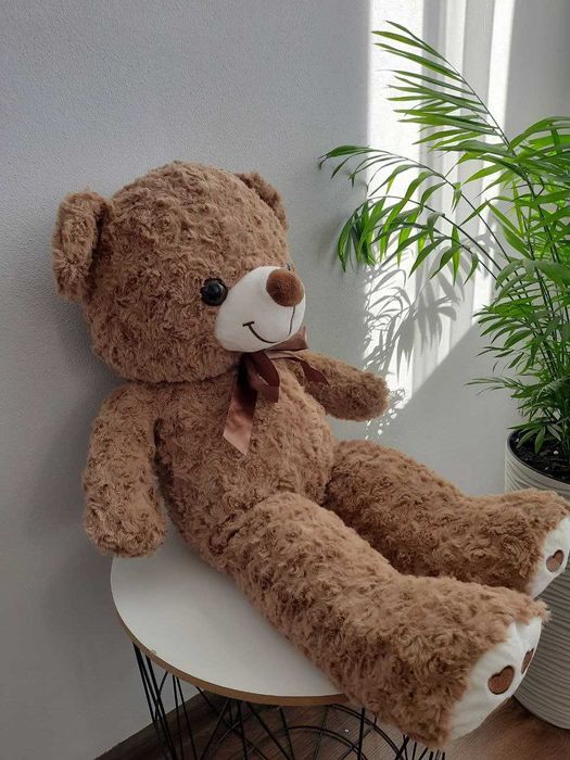 Ведмедики з пледами