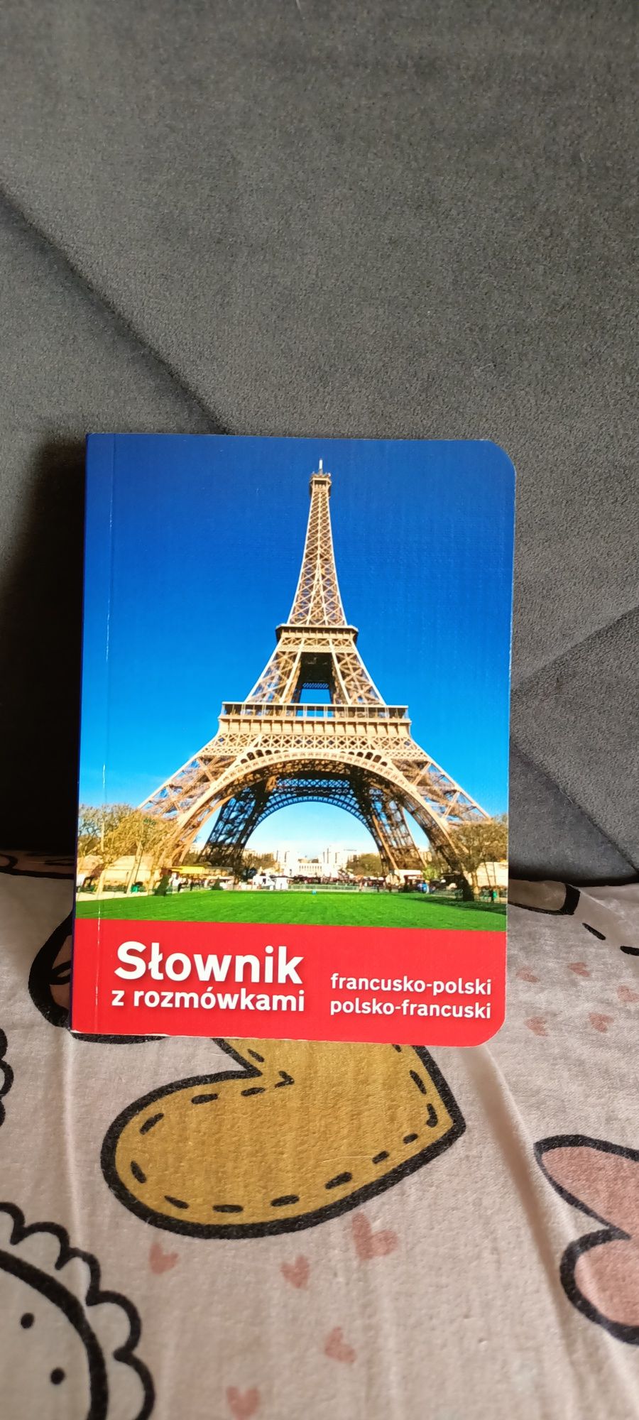 Słownik języka francuskiego