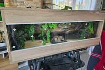 Terrarium z plyty meblowej puste lub z wystrojem