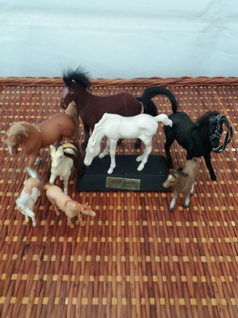 Conjunto de cavalos várias raças
