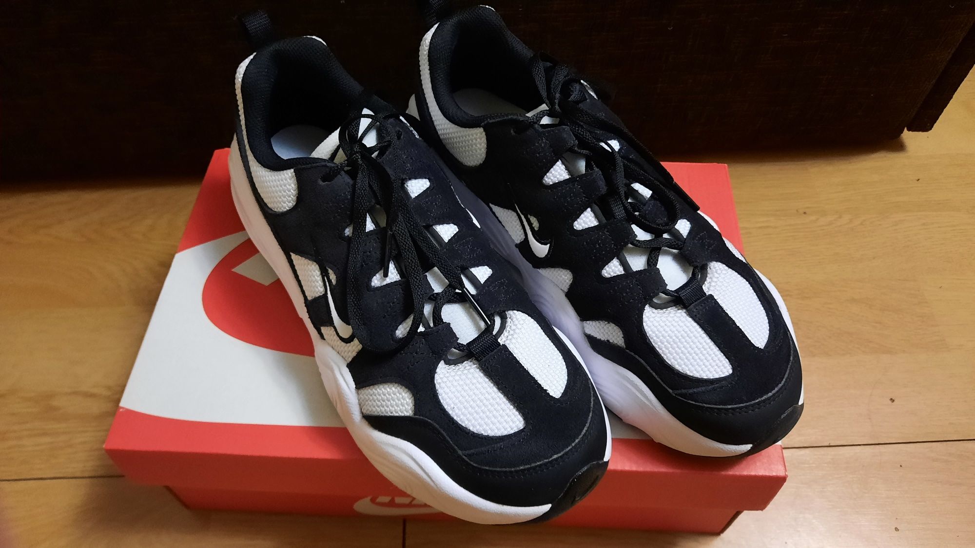 Кросівки Nike Tech Hera DR9761-101