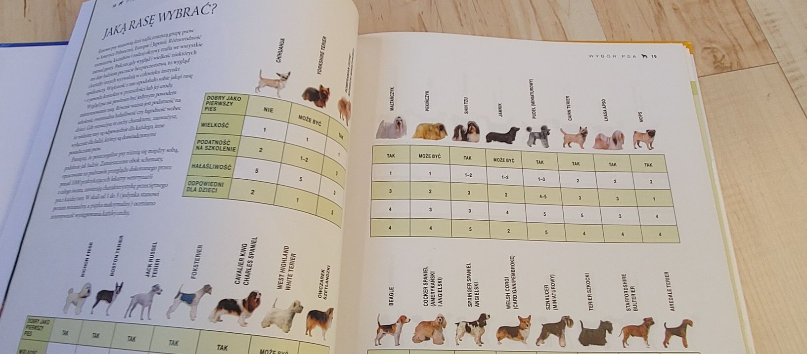 " Psy Wielka Encyklopedia" - Zdrowie