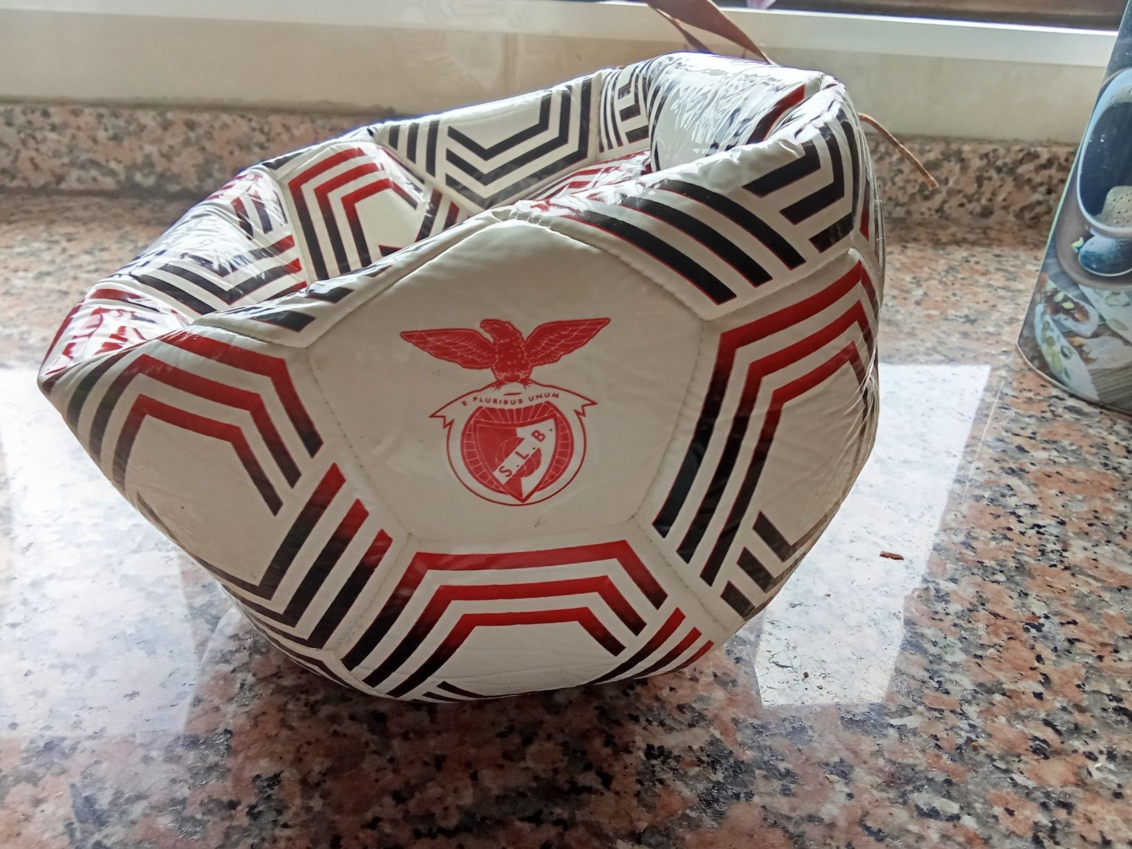 Bola do Benfica profissional