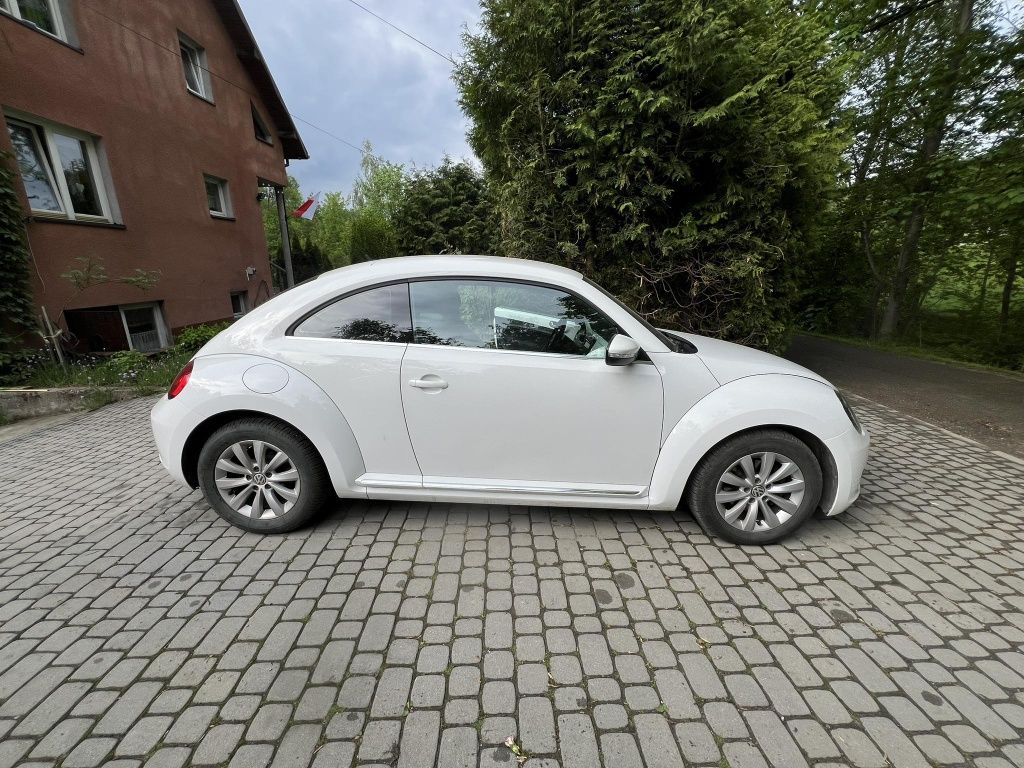 Volkswagen beetle