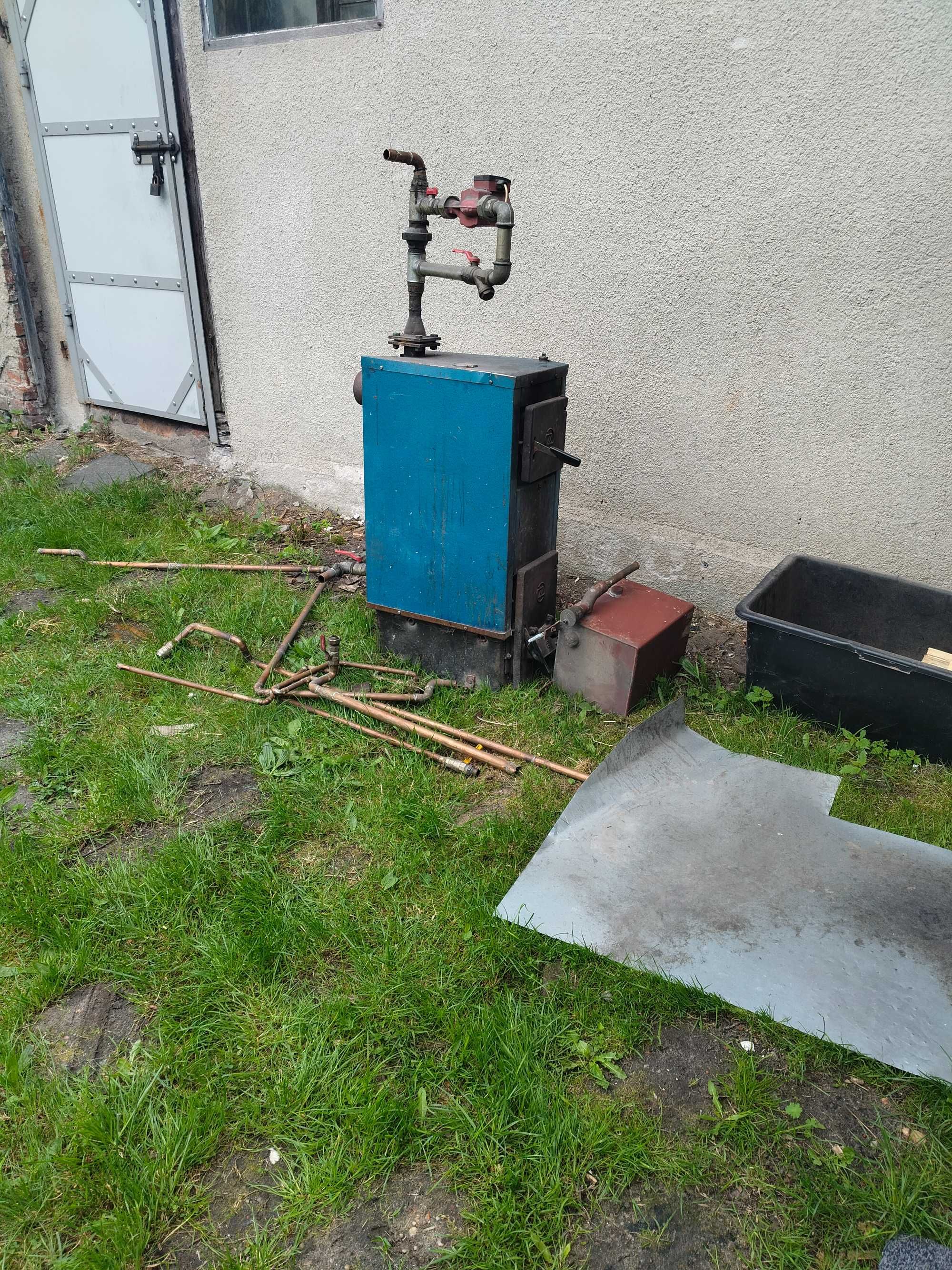 Piec zębiec do co