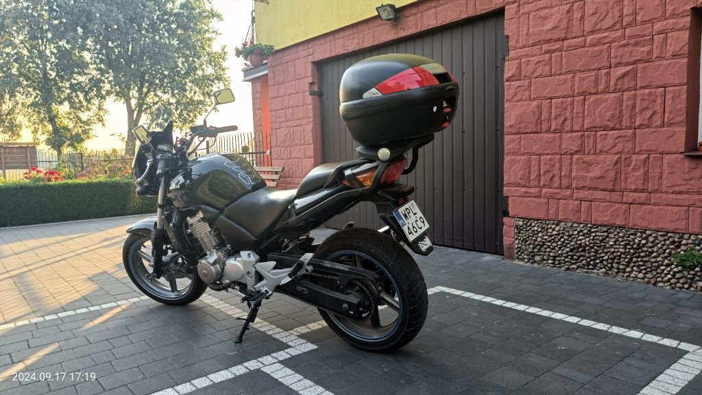 Honda CBF 500 (grzane manetki, dominator, db killer) 2004r