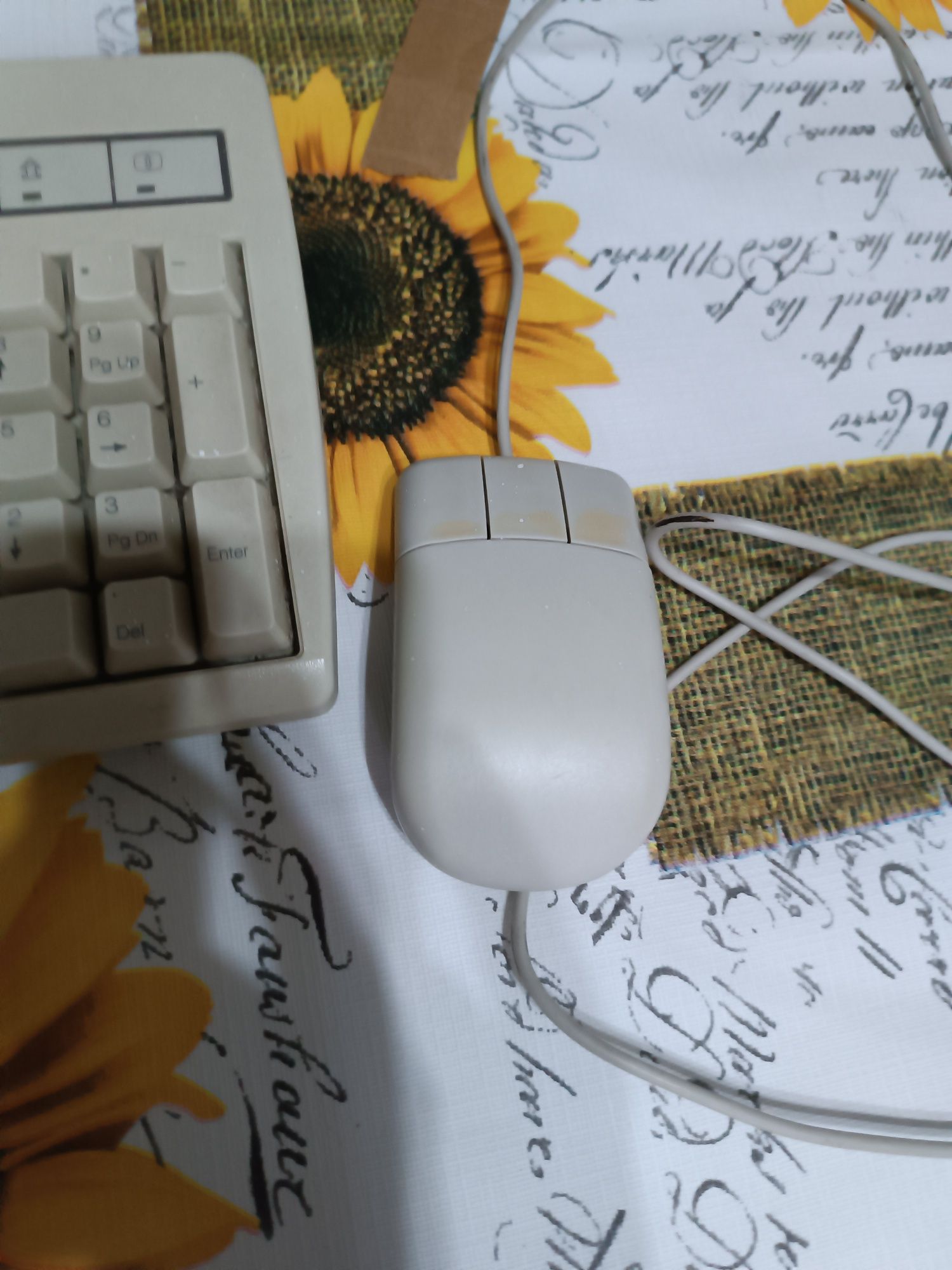 Teclado e rato novo