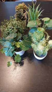 Набір декоративних рослин від Ikea